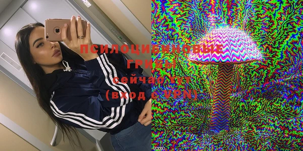 дмт Балахна