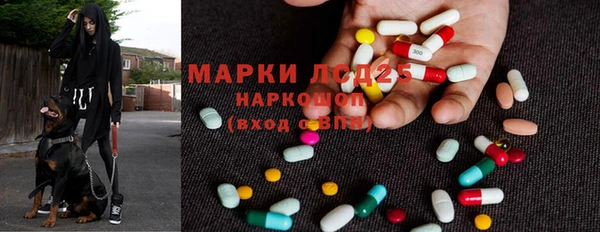 прущие грибы Баксан