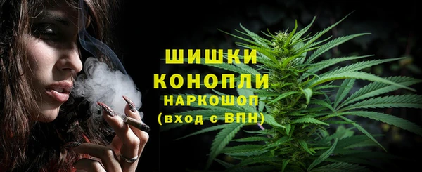 прущие грибы Баксан