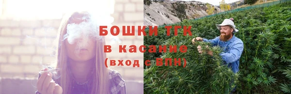прущие грибы Баксан
