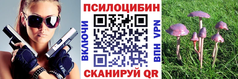 Галлюциногенные грибы прущие грибы  купить наркотик  Нижний Ломов 